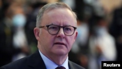 Australian Prime Minister Anthony Albanese (file photo)