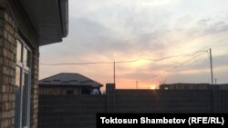 Улан Саляновду өз үйүнөн атып кетишти