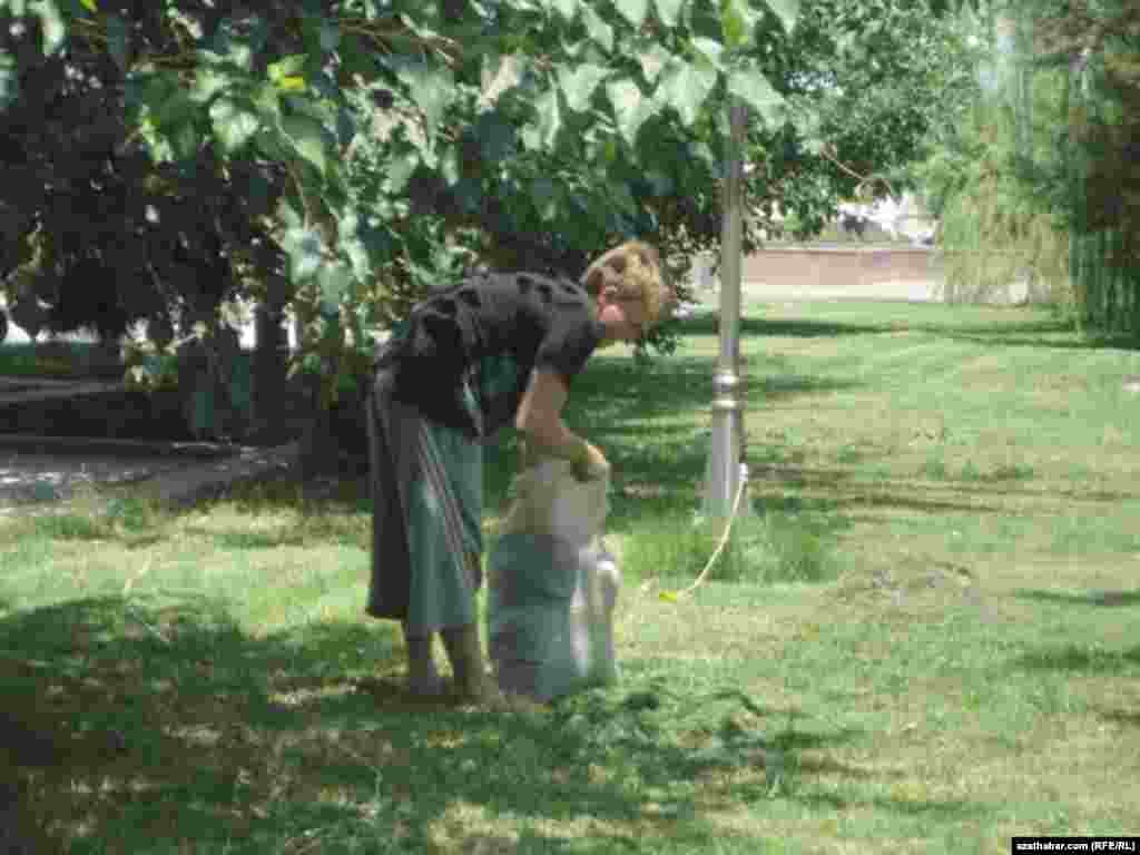 Gartaşan bir aýal ot çöpleýär