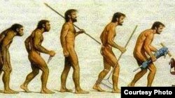 Taniqli olim Charlz Darvinning evolyutsiya nazariyasiga chizilgan karikatura.