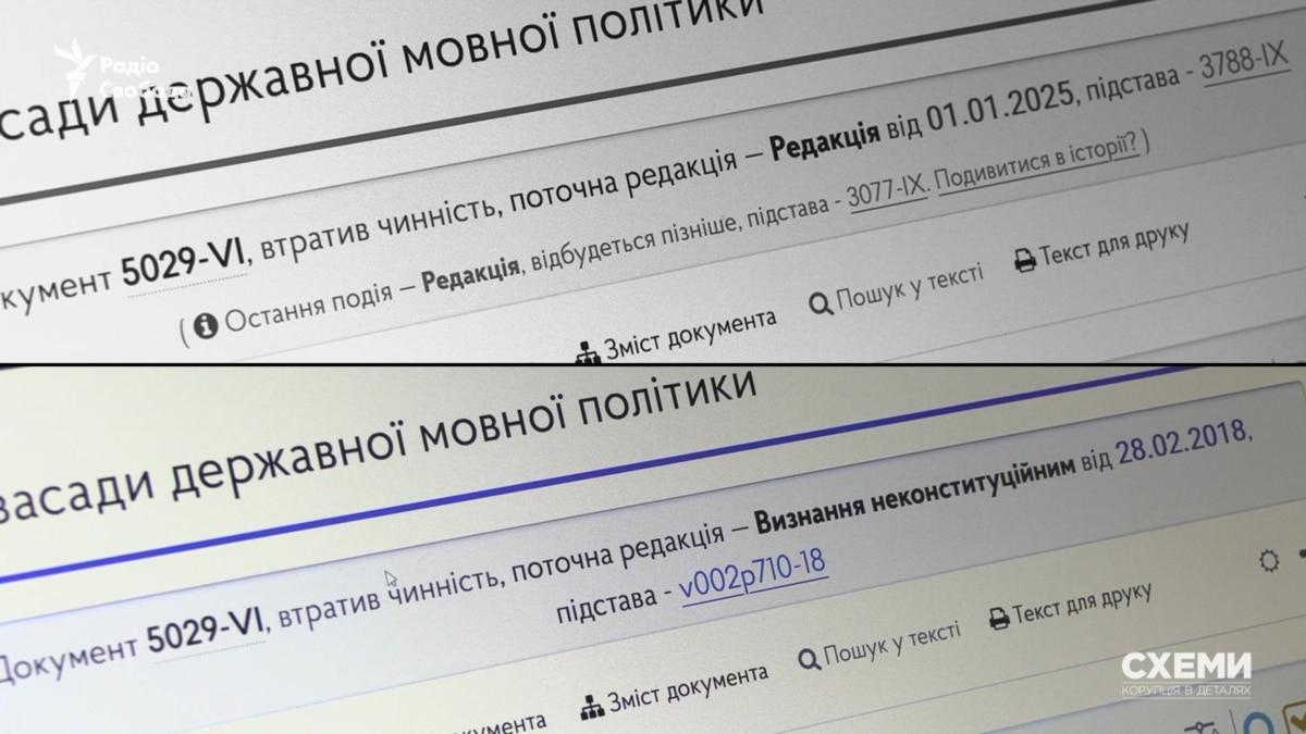 У Верховному та інших судах роками застосовували нечинний та неконституційний мовний закон – «Схеми»