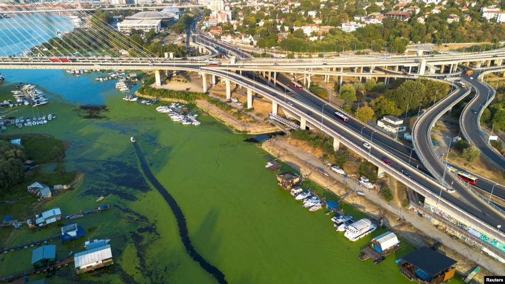 Një imazh nga lart tregon se një pjesë e konsiderueshme e ujit në lumit Sava, është mbuluar me alga, zhvillimi i së cilave nxitet në mjedis të ngrohtë dhe të ndotur. Beograd, Serbi, 2 shtator 2024.