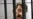 Thailand Orders Arms Dealer Extradition