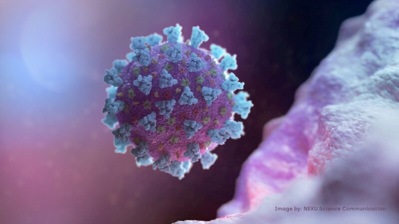 СЗО со список од 25 експерти кои ќе го истражуваат потеклото на коронавирусот 