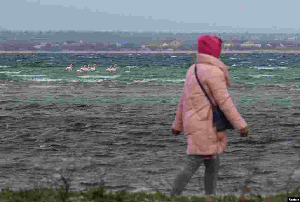 Женщина, прогуливаясь по берегу моря, заметила вдали птиц с нежно-розовым оперением