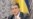 Ющенко каже, що за ним стоять мільйони, а тому піде на вибори