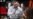 16x9 Image