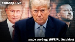 Трамп і Путін можуть поговорити телефоном у найближчі дні – Волц