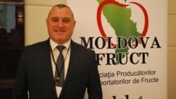 Interviu cu Iurie Fala, directorul executiv al Asociației Producătorilor și Exportatorilor de Fructe „Moldova Fruct”