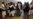 U.S. Rejects Taliban Claim It Is Violating Doha Peace Deal