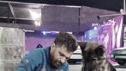 د علي رضا پر مړینه د هغه سپی هم ماتم کوي 