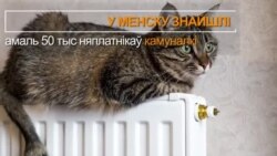 Дзень за 60 сэкундаў: адстаўкі і прызначэньні, эмбрыёны і падаткі