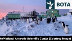 Pinguinët shihen jashtë bazës Vernadsky të Ukrainës në Antarktidë.
