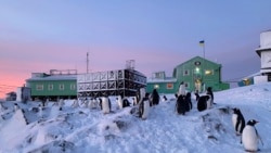 Арктическата база на Украйна "Вернадски"