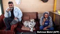 Workers at an animal shelter in the northern Iranian town of Hashtgerd take a break along with one of their charges last year.
