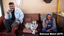 Workers at an animal shelter in the town of Hashtgerd, west of Tehran. (file photo)