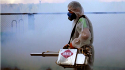 «Выпил слишком много крови». Искусанный комарами Павлодар хочет, чтобы приехал президент