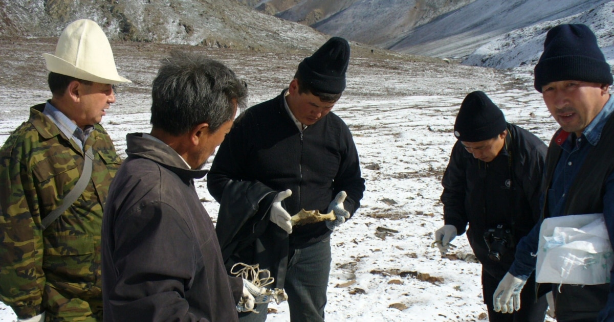 www.rferl.org