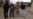 Baghdad Makes Gains In Anbar