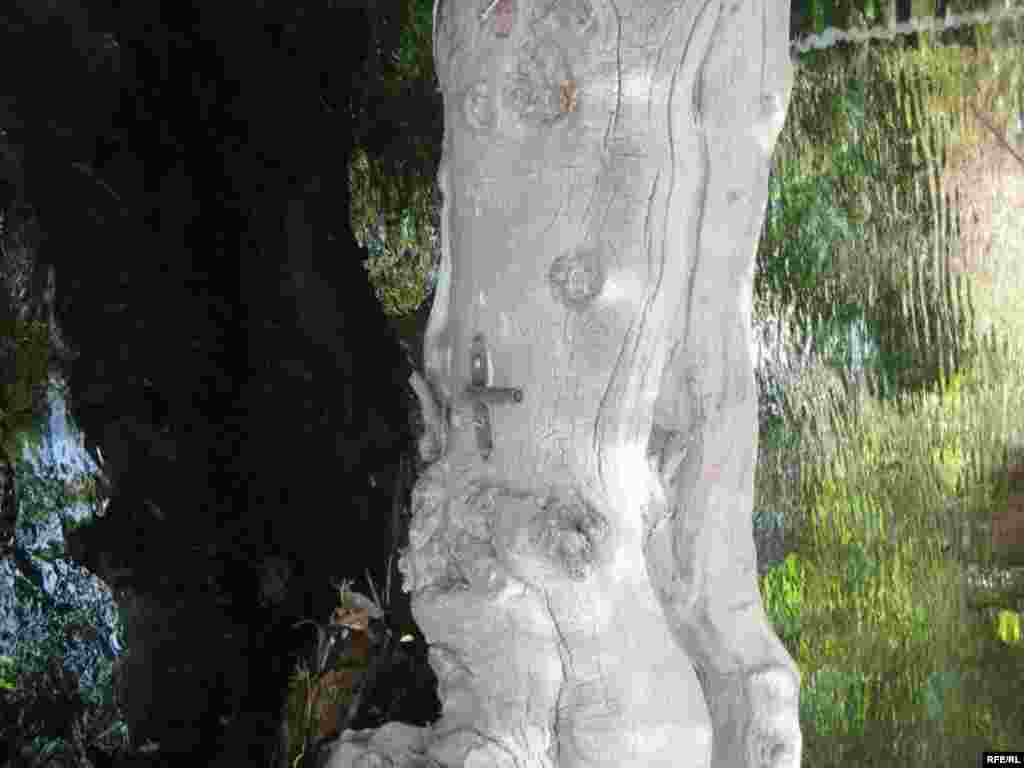 Зиёрати Чилучорчашма #17