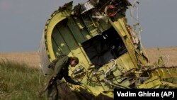 Обломки «Боинга» на месте крушения MH17, Донецкая область, 22 июля 2014 года