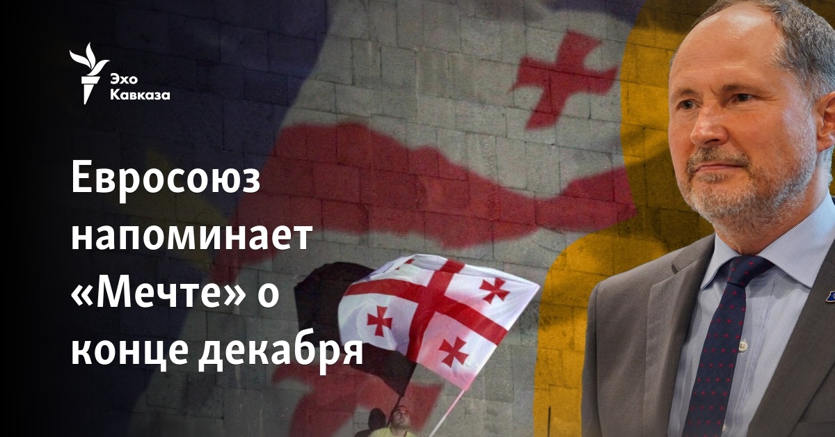 Евросоюз напоминает «Мечте» о конце декабря