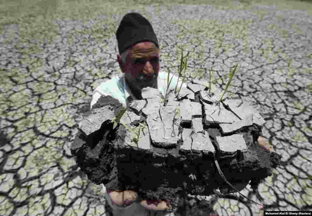 Єгипетський фермер тримає в руках шмат землі, щоб показати, до яких наслідків призвела посуха, 4 червня. Ці землі до цього завжди зрошувала річка Ніл, частину вод якої тепер відвертає вбік Ефіопія