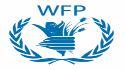 WFP logo