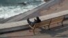 Мужчина сидит на скамейке возле моря во время карантина в Крыму, иллюстрационное фото