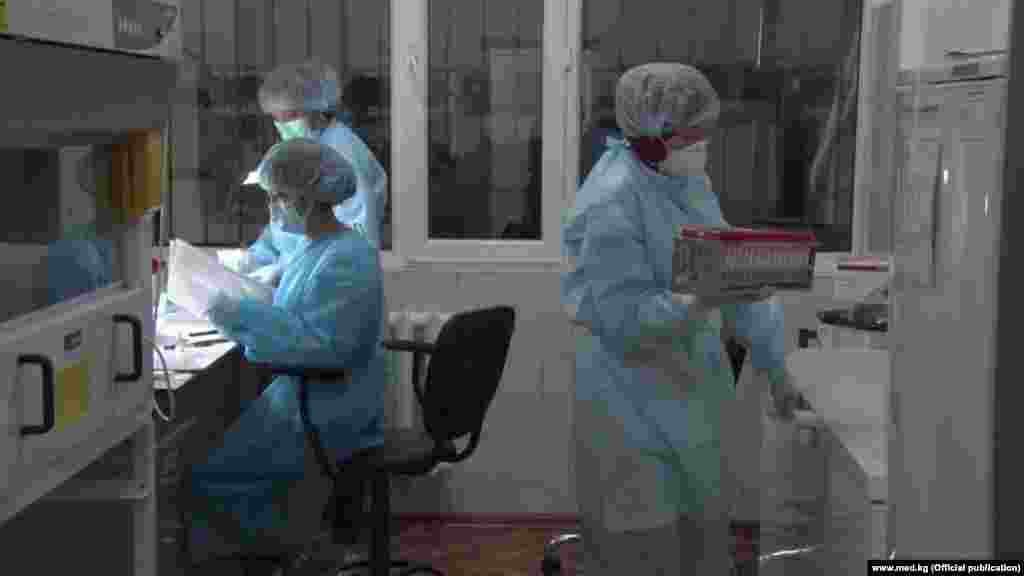 Лабораторияда иштеп жаткан медицина кызматкерлери. Бишкек шаары.&nbsp;&nbsp;
