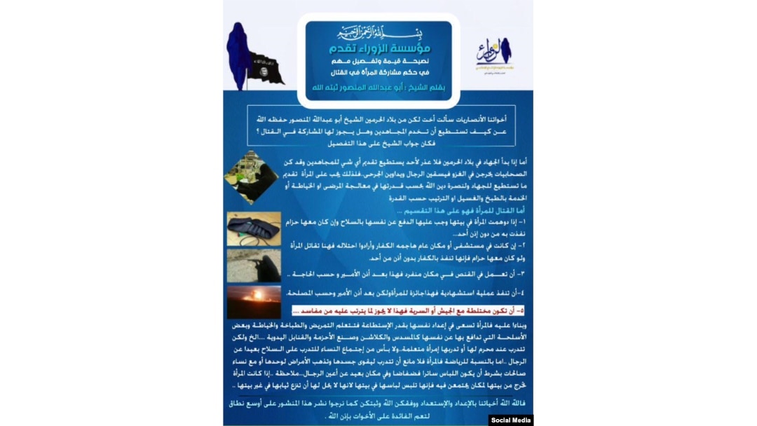 The Zora Foundation treatise (click to enlarge)