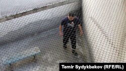 Иллюстративное фото.