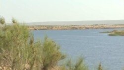 BMG edarasy Türkmenistanda suw resurslaryna agram düşýändigini duýdurýar