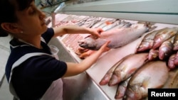 Поставки рыбы из Норвегии в России были запрещены в начале августа 