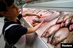 Продавец укладывает "белорусских" морских лососей на прилавок в Петербурге