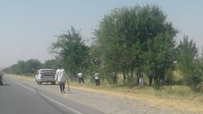 В Узбекистане законом запретили привлекать учителей к принудительному труду