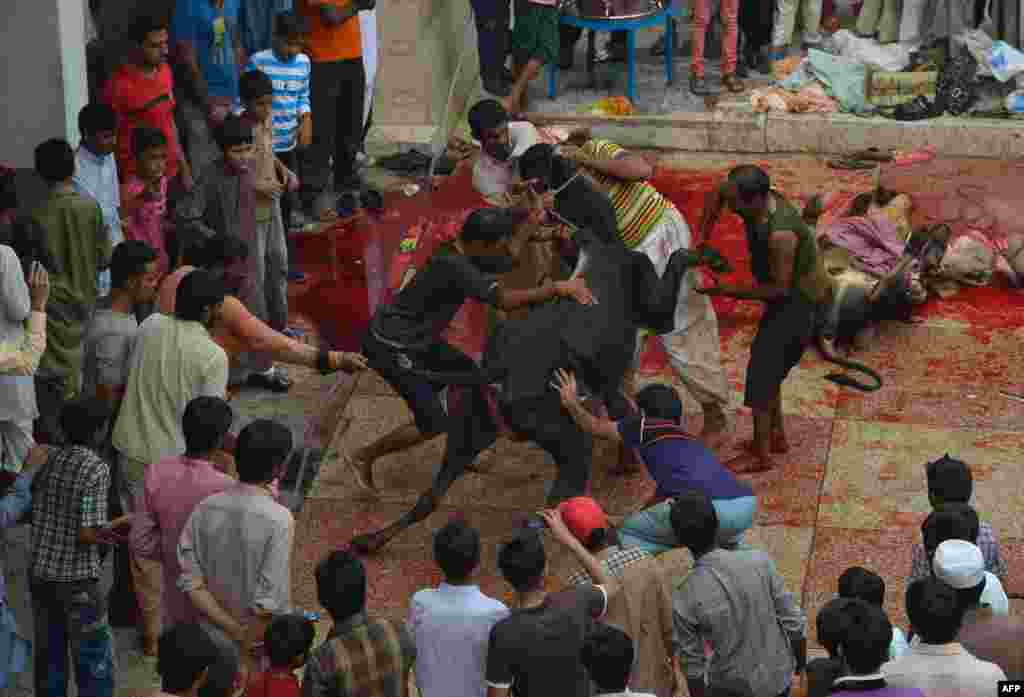 Pakistani butchers slaughter a bull after offering Eid al-Adha prayers in Lahore on October 6. (AFP/Arif Ali) 