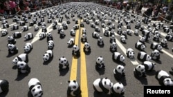 Акция в поддержку WWF на Тайване
