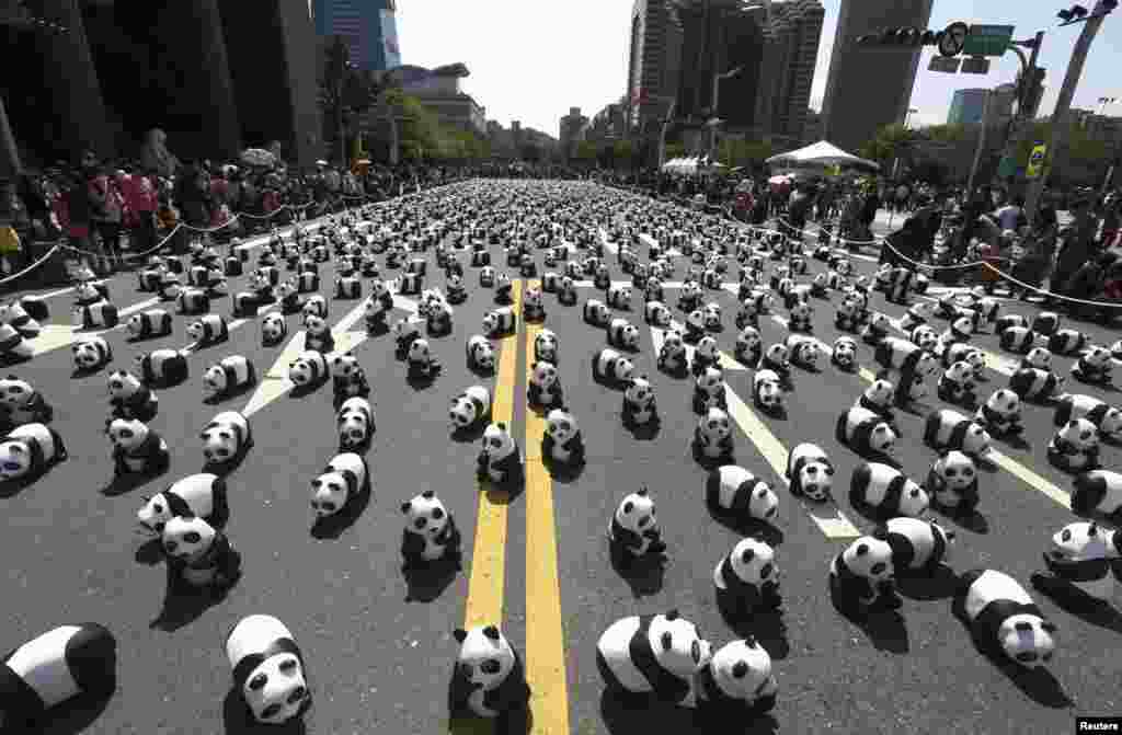 Papier mache pandas created by French Paolo Grangeon are seen displayed outside the Taipei City Hall in Taiwan as part of an exhibition called &quot;Pandas on Tour&quot; on February 28. (Reuters/Patrick Lin)