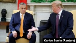 Iамеркан президент Трамп Доналд а, Венгрин премьер-министр Орбан Виктор