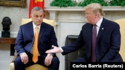 Президент США Дональд Трамп протягивает руку премьер-министру Венгрии Виктору Орбану. Вашингтон, 13 мая 2019 года.
