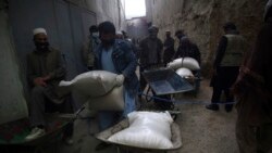 افغان های نیازمند در حال انتقال گندم کمک شده از سوی حکومت افغانستان به خانه های شان.