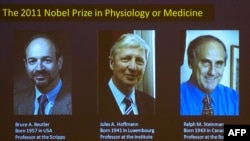 A graphic displayed at the Nobel Assembly at the Karolinska Institute in Stockholm shows the three winners on October 3.