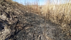 Спалена суха трава під Києвом, 9 квітня 2020 року