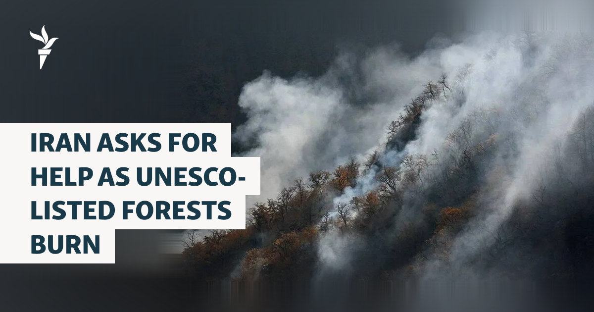 Iran Asks For Help As UNESCO-Listed Forests Burn