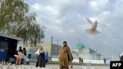 افغانستان: د حضرت علي په روضه کې سړي او ښځې د نوروز پر ورځ کوترو ته غنم دانه ورکوي.