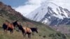Туристические фирмы: «В Таджикистане все спокойно» 