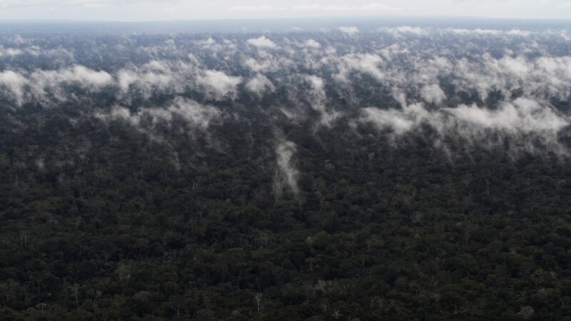 Zemlje sa najvećim prašumama sveta dogovorile savez za njihovo očuvanje