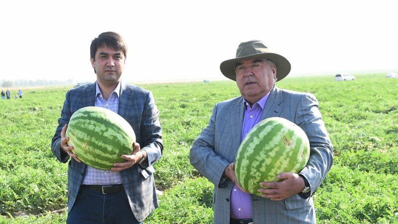 «Желание консервации». Почему власть в Таджикистане не меняется