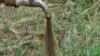 Անասունները խմելու ջրի միջով են արոտավայր հասնում. Պրիվոլնոյեի բնակիչը հրաժարվում է վճարել հարկերը